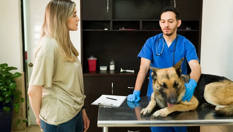 A dog with antibiotic resistance in the clinic