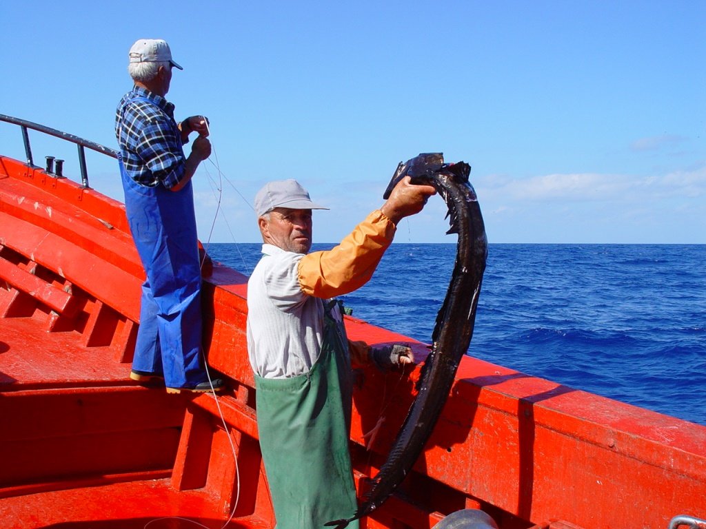A man hold the black scabbardfish species