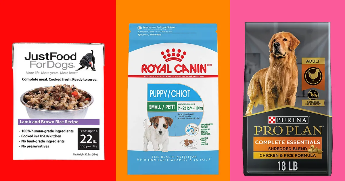 different top dry dog food brand available