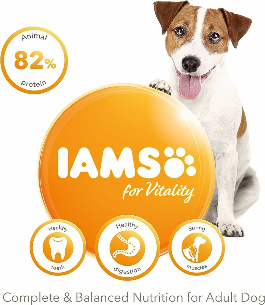 IAMS Complete Dry Dog Food