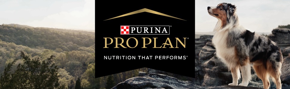 Purina Pro Plan Wet Food