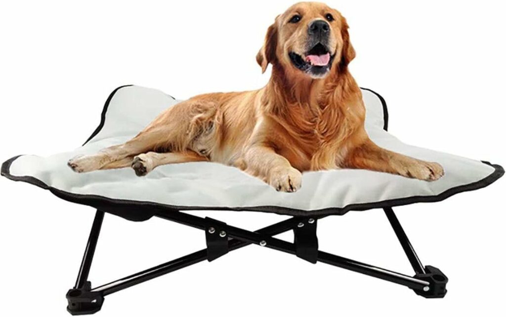 RHXWFDG Elevated Dog Bed, Comfortable Raised Dog Bed for Teddy Golden Retriever
