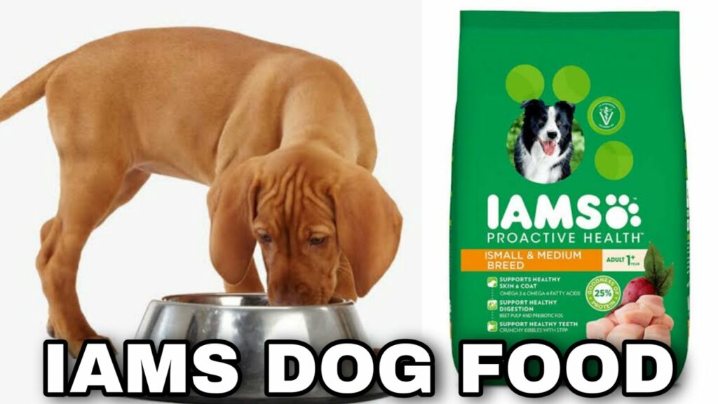 iams puppy food