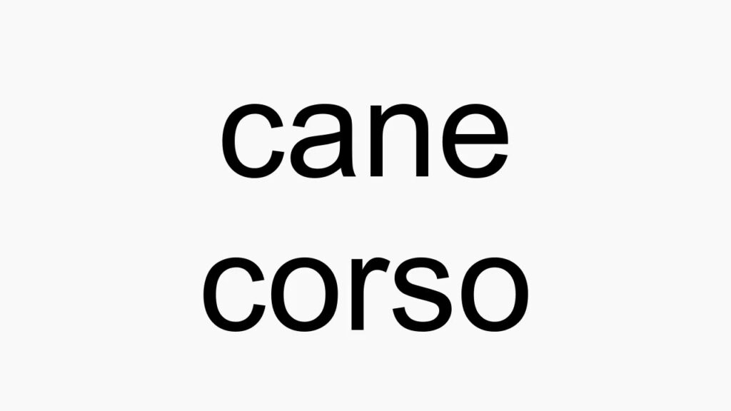 How To Pronounce Cane Corso