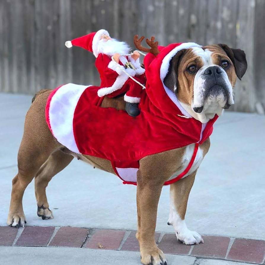 Christmas Dogs Outfits