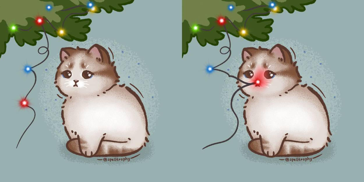 Hilarious Christmas Cat Meme to Brighten Your Holiday this 2023