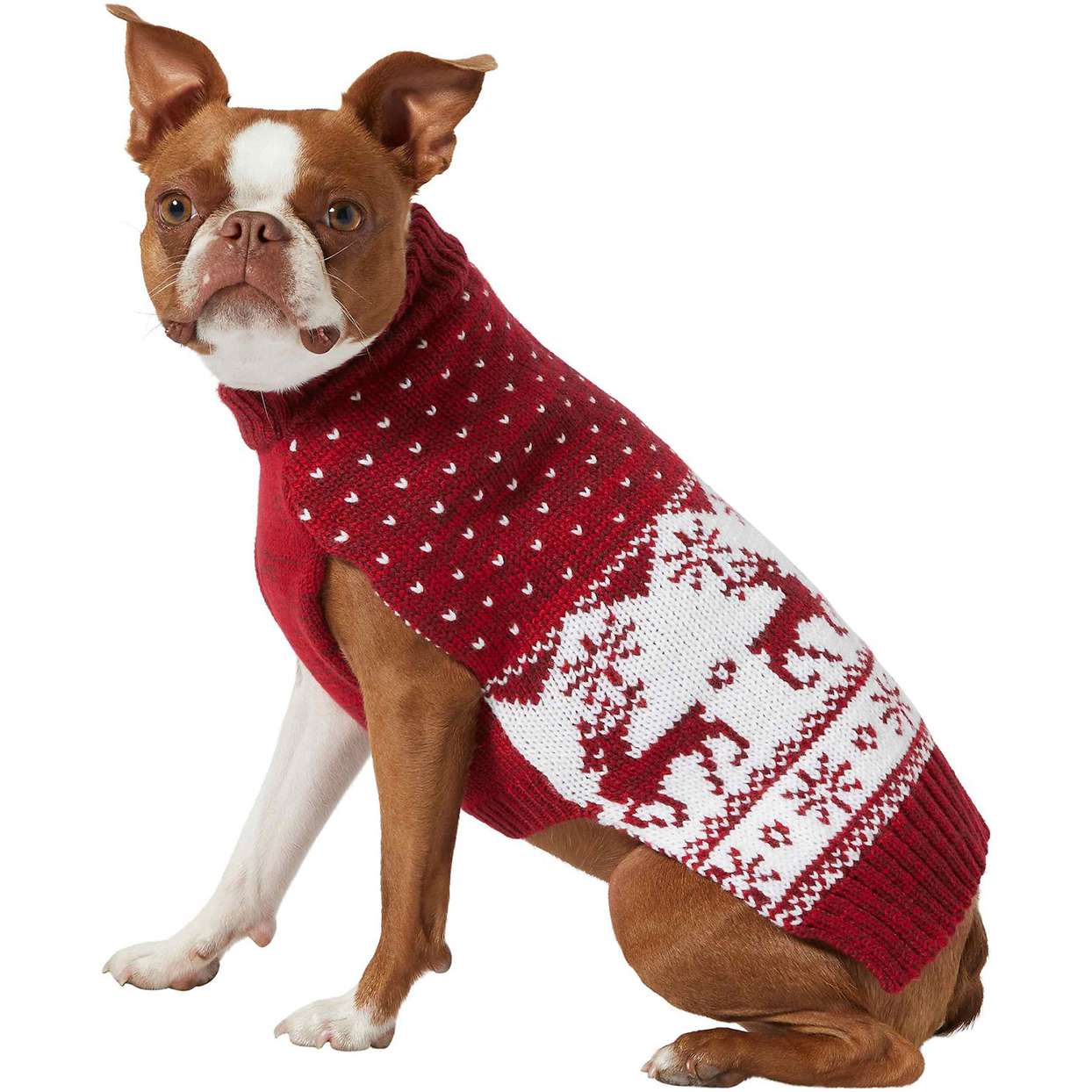Christmas Dogs Outfits that Capture the Holiday Spirit in 2023