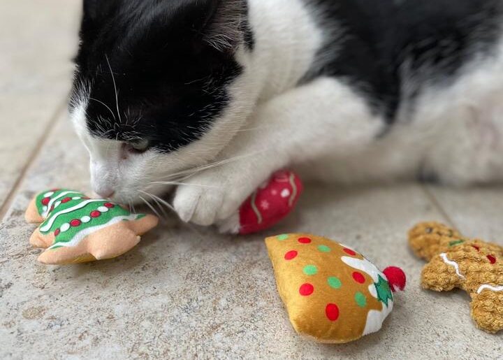 The Ultimate Guide to Christmas Cat Toys for a Perfect 2023 Holiday