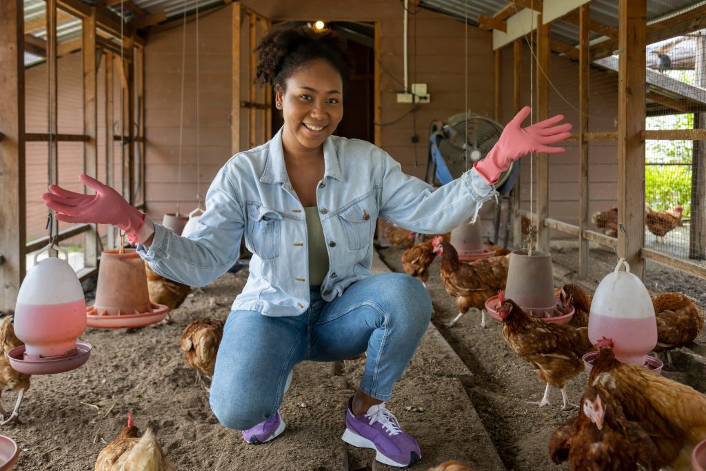 Poultry Farming Business Plan
