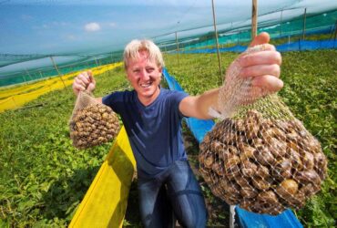 Snail Farming Profit